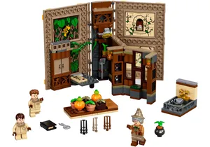 Lego 76384 Harry Potter: Hogwarts Moment: Kräuterkundeunterricht