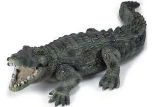 Produktbild von Schleich 14378  Wild Life  Krokodil