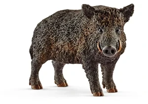 Produktbild von Schleich 14783  Wild Life  Wildschwein