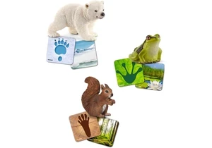 Produktbild von Schleich 42474  Wild Life  Lernkarten