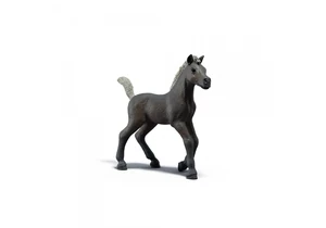 Produktbild von Schleich 81460  Horse Club  Sammelfohlen Darcy
