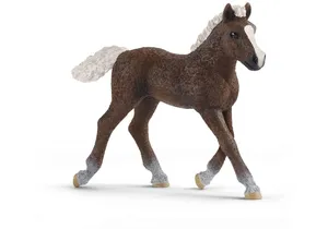 Schleich 13899  Farm World  Schwarzwälder Fohlen
